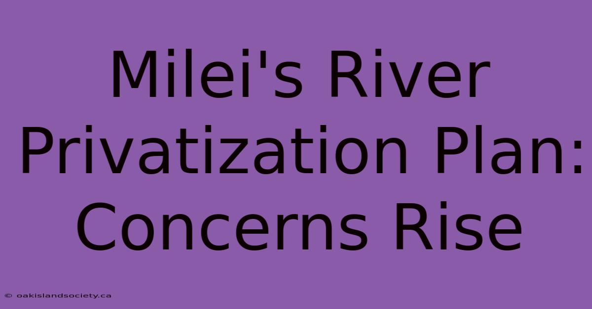 Milei's River Privatization Plan: Concerns Rise