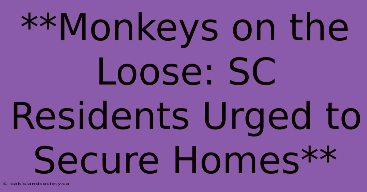 **Monkeys On The Loose: SC Residents Urged To Secure Homes**