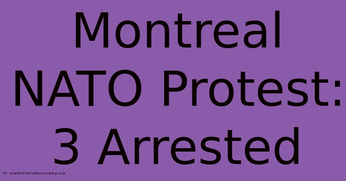 Montreal NATO Protest: 3 Arrested