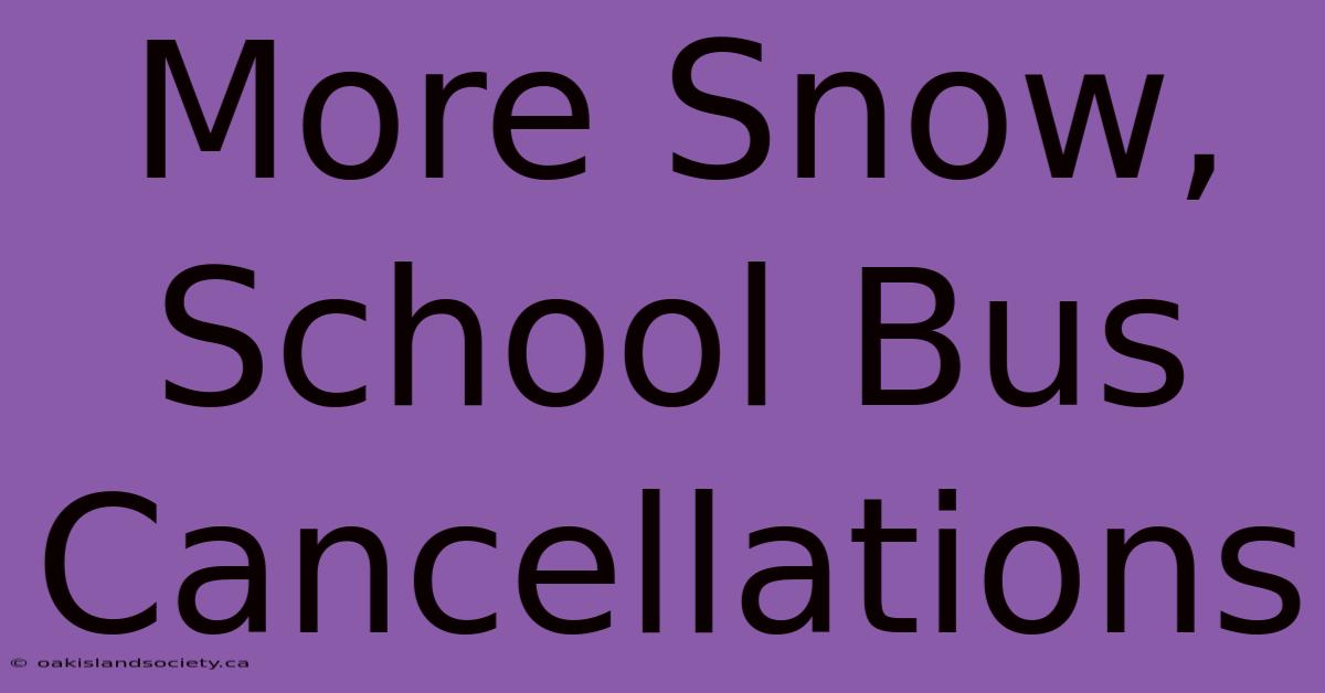 More Snow, School Bus Cancellations