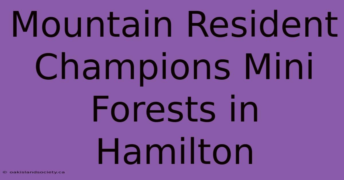 Mountain Resident Champions Mini Forests In Hamilton