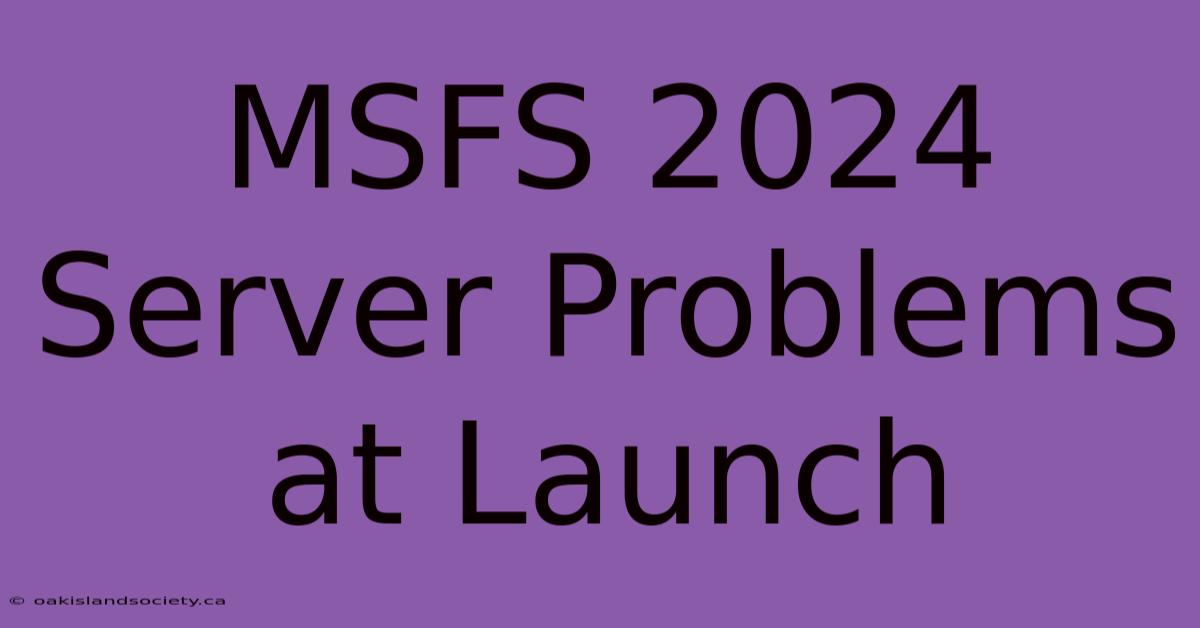 MSFS 2024 Server Problems At Launch