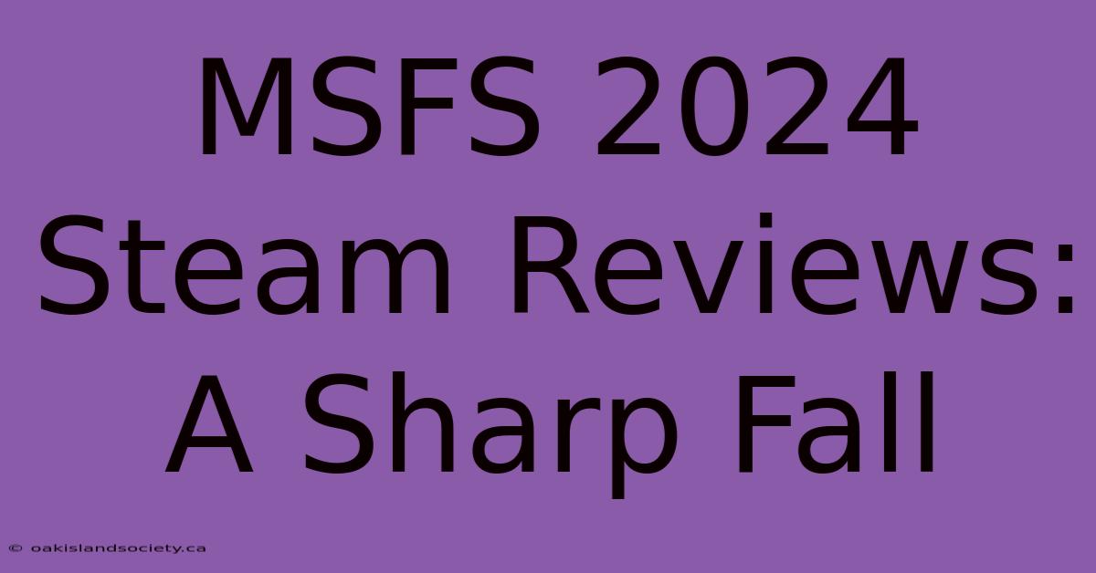 MSFS 2024 Steam Reviews: A Sharp Fall