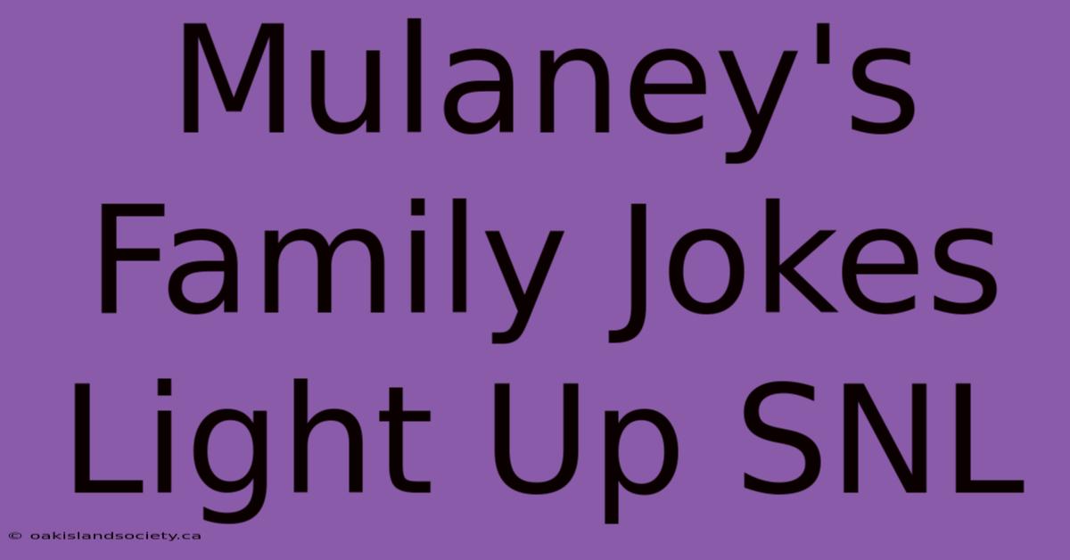 Mulaney's Family Jokes Light Up SNL