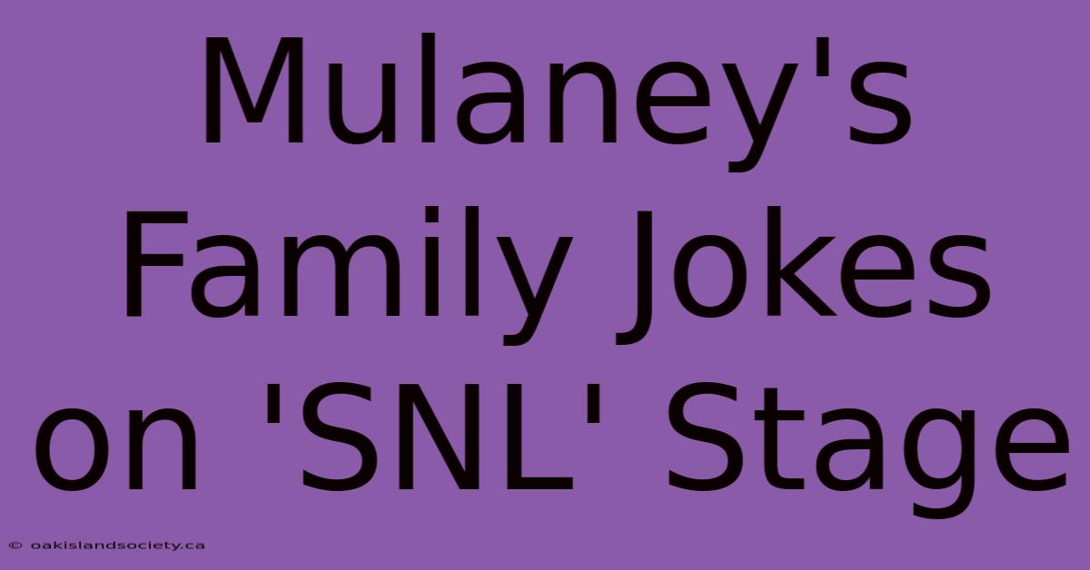 Mulaney's Family Jokes On 'SNL' Stage