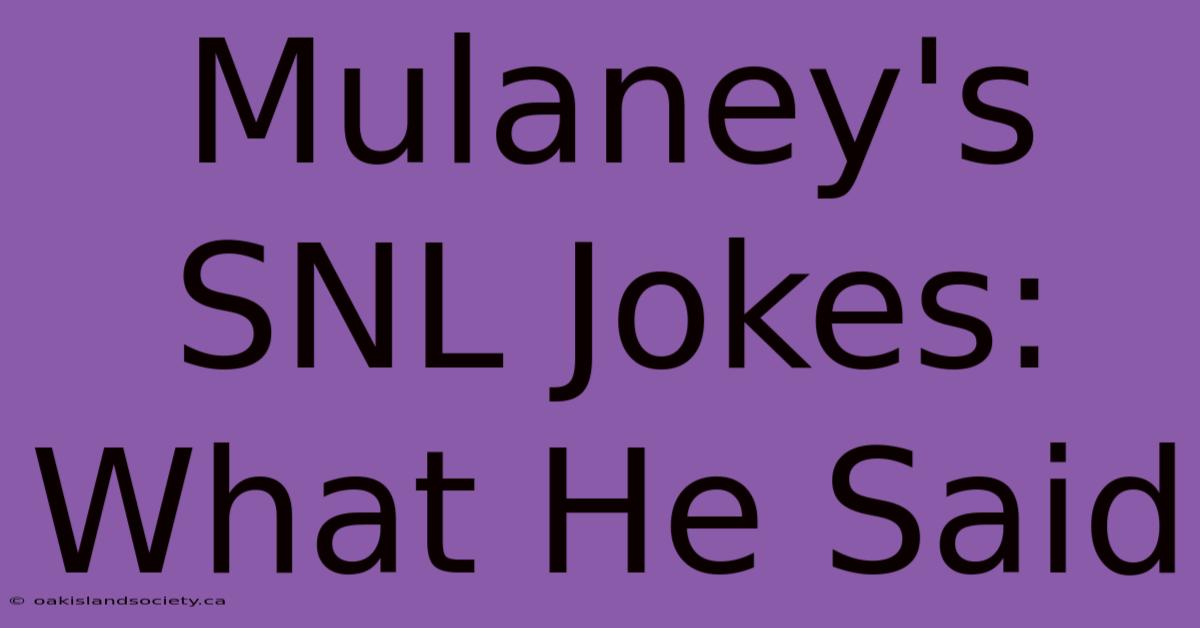 Mulaney's SNL Jokes: What He Said 