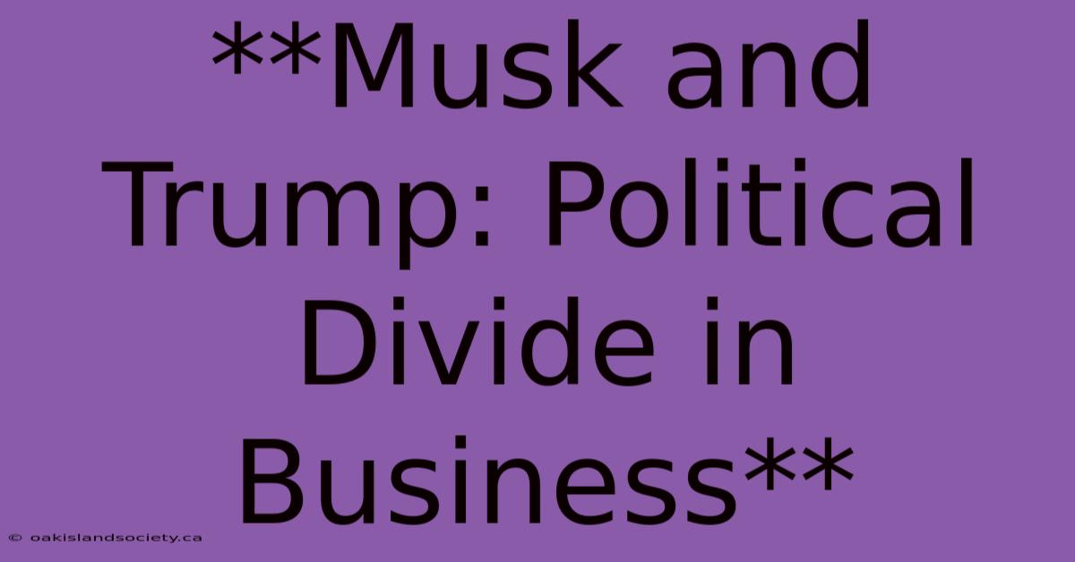 **Musk And Trump: Political Divide In Business** 