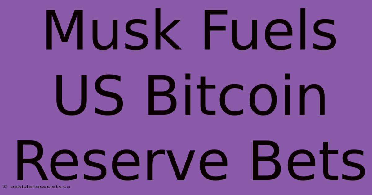 Musk Fuels US Bitcoin Reserve Bets