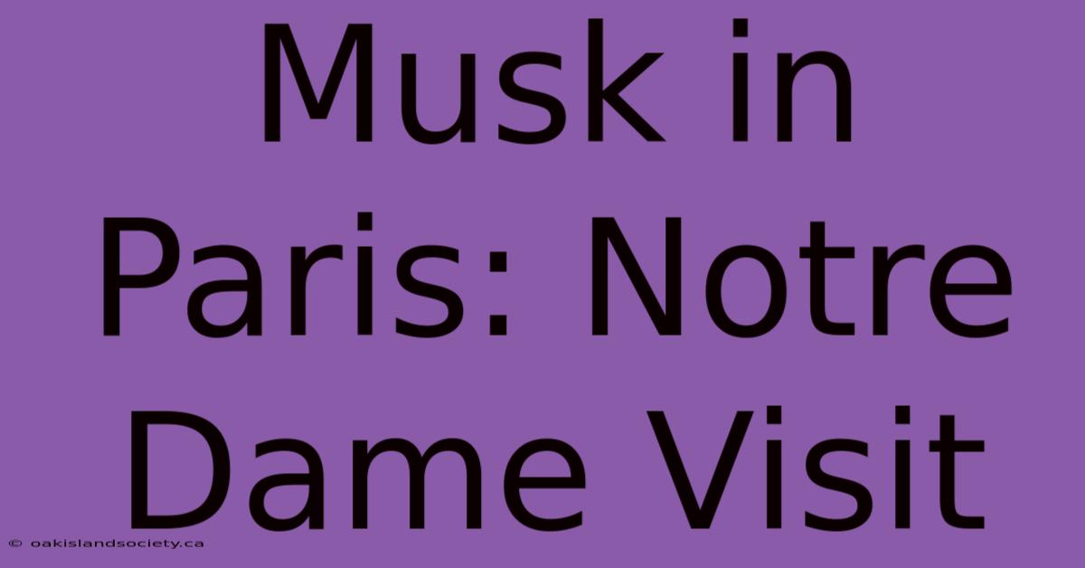 Musk In Paris: Notre Dame Visit