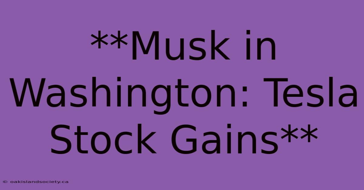 **Musk In Washington: Tesla Stock Gains**