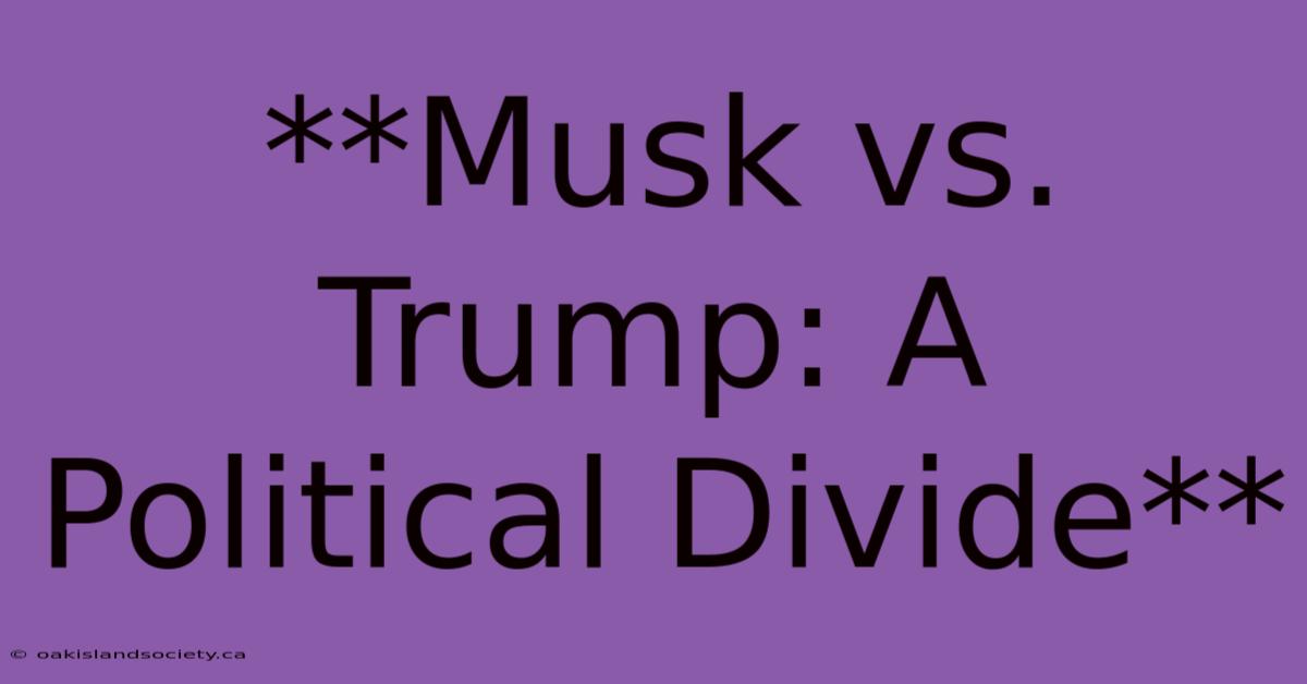 **Musk Vs. Trump: A Political Divide**