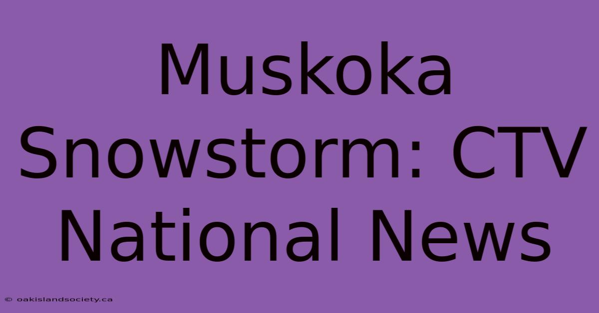 Muskoka Snowstorm: CTV National News