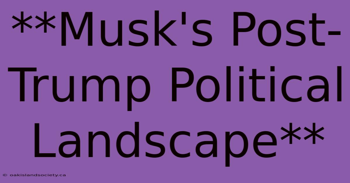 **Musk's Post-Trump Political Landscape** 