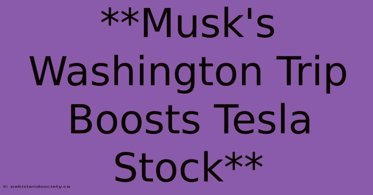 **Musk's Washington Trip Boosts Tesla Stock**