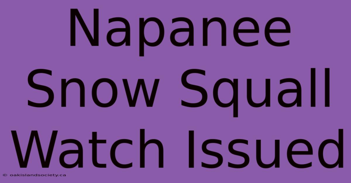 Napanee Snow Squall Watch Issued