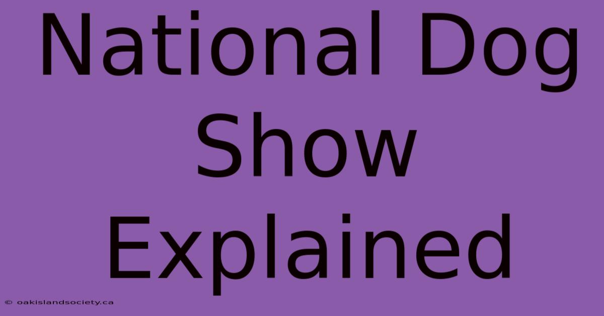 National Dog Show Explained