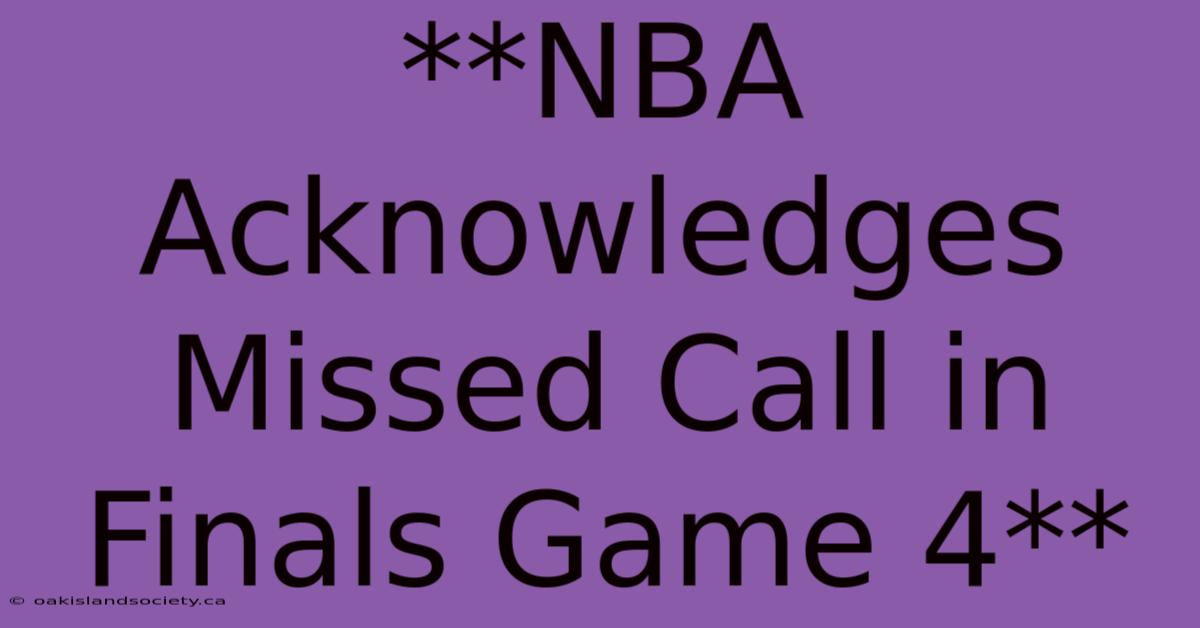 **NBA Acknowledges Missed Call In Finals Game 4** 