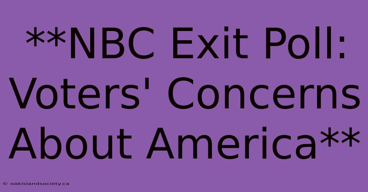 **NBC Exit Poll: Voters' Concerns About America**