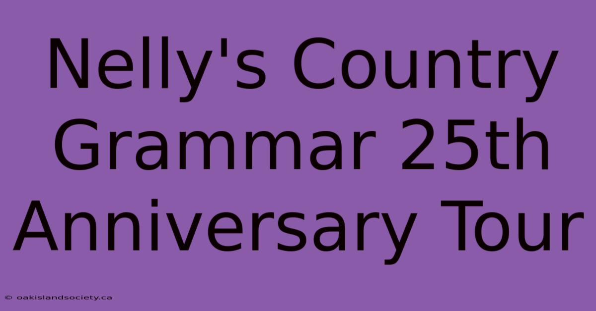 Nelly's Country Grammar 25th Anniversary Tour