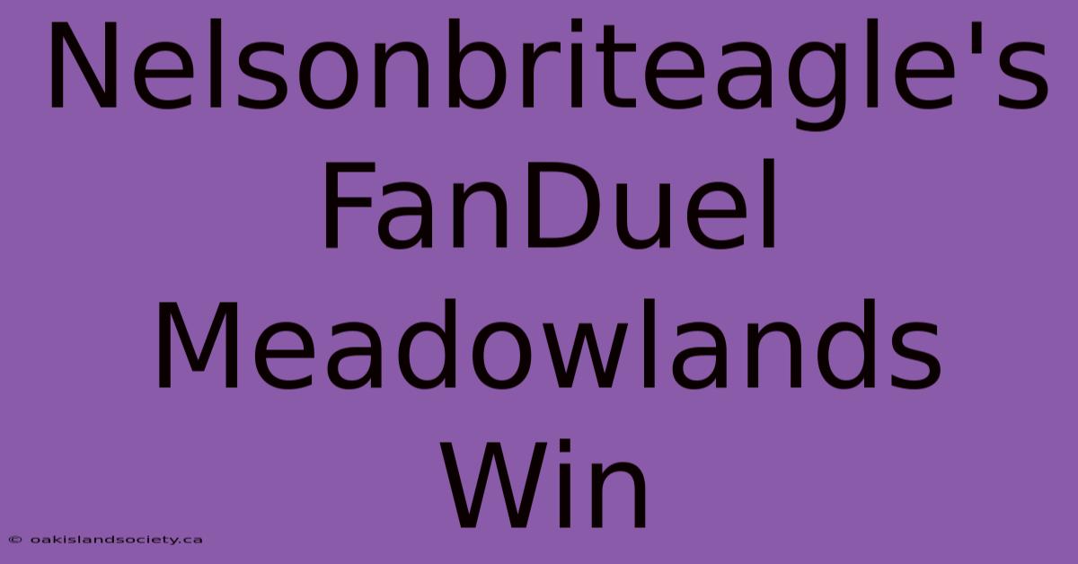 Nelsonbriteagle's FanDuel Meadowlands Win