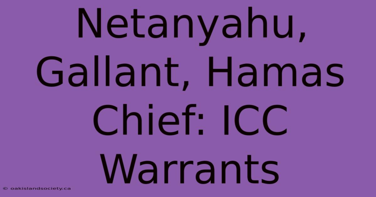 Netanyahu, Gallant, Hamas Chief: ICC Warrants