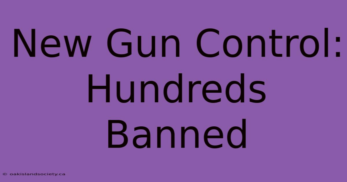 New Gun Control: Hundreds Banned