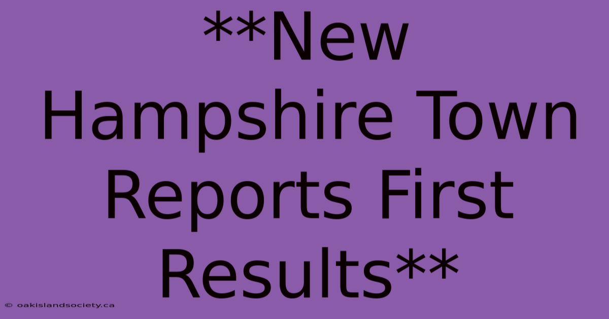 **New Hampshire Town Reports First Results**