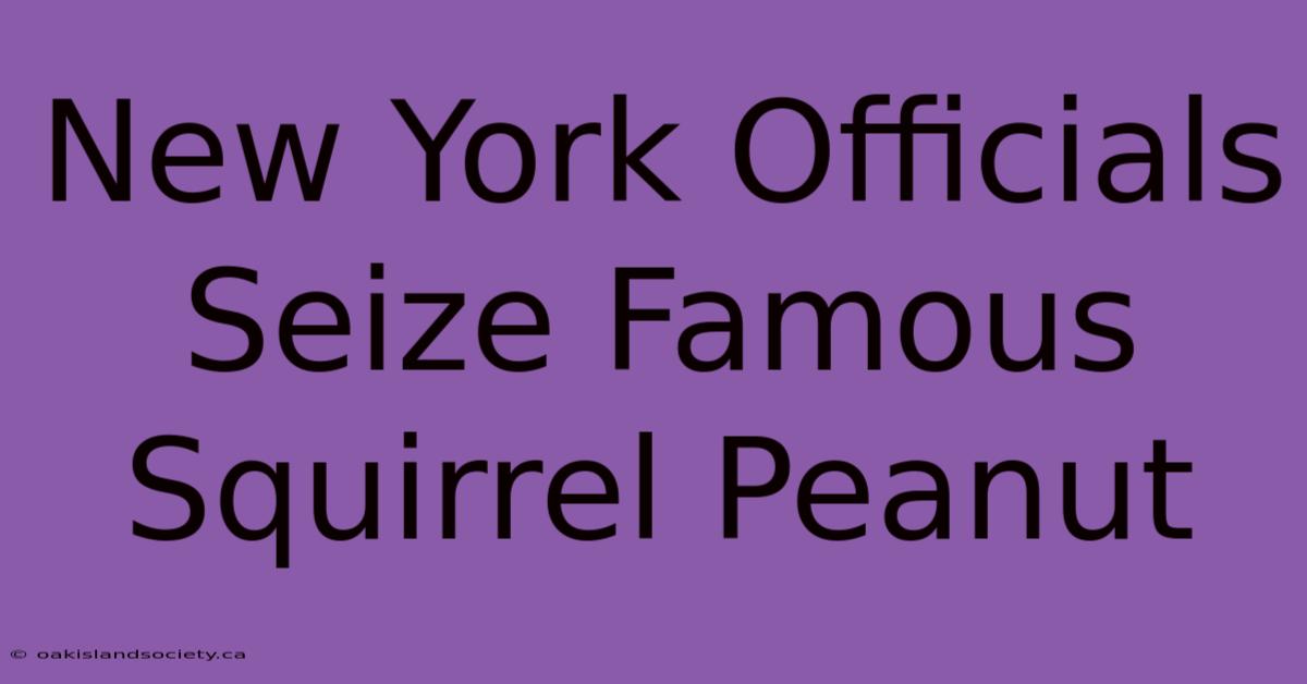 New York Officials Seize Famous Squirrel Peanut