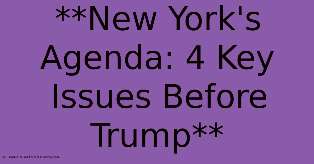 **New York's Agenda: 4 Key Issues Before Trump** 