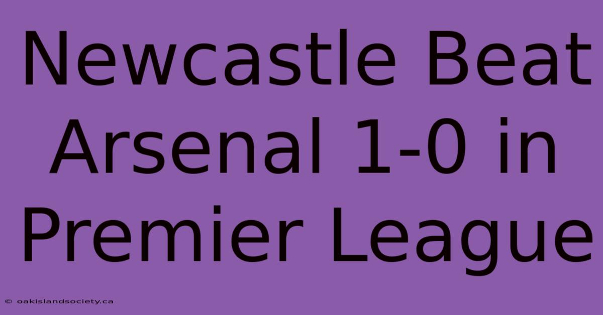 Newcastle Beat Arsenal 1-0 In Premier League