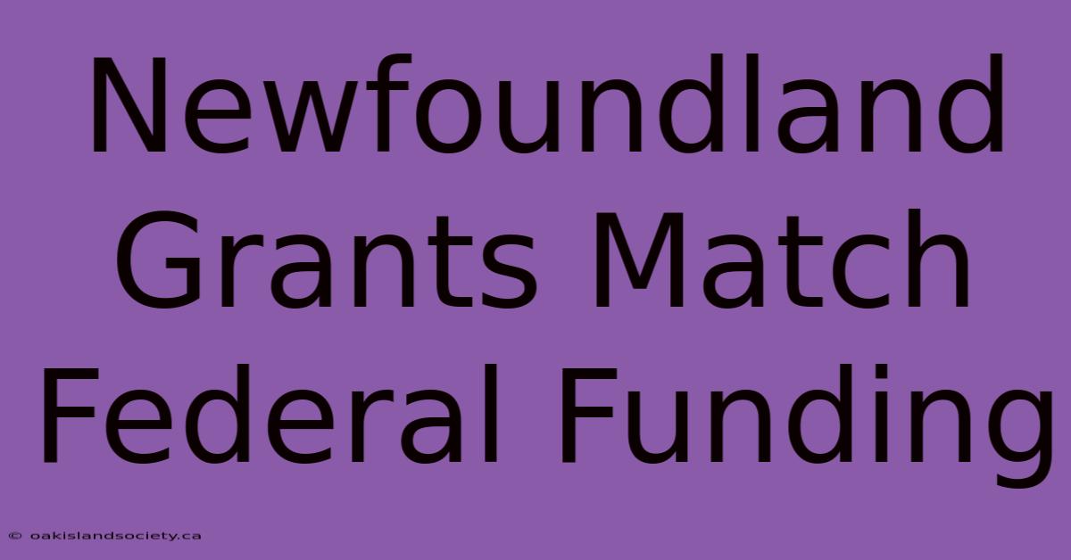 Newfoundland Grants Match Federal Funding