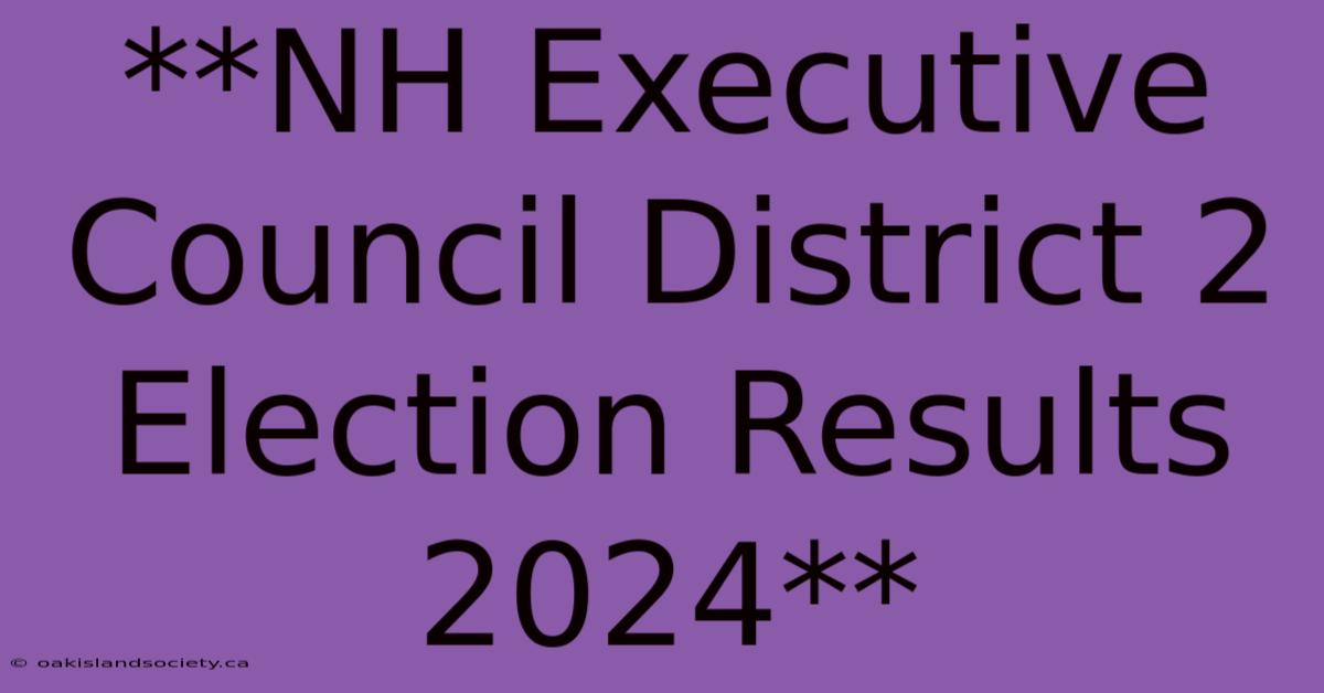 **NH Executive Council District 2 Election Results 2024** 