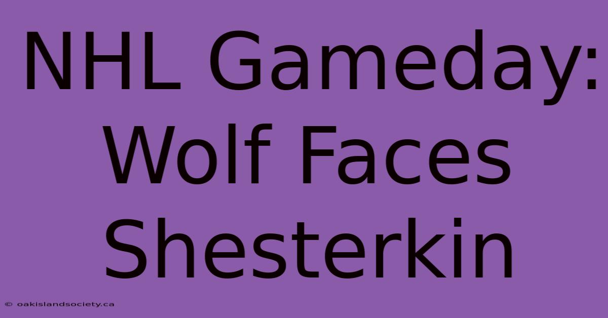 NHL Gameday: Wolf Faces Shesterkin