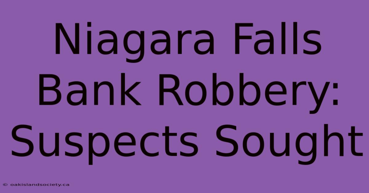 Niagara Falls Bank Robbery: Suspects Sought 