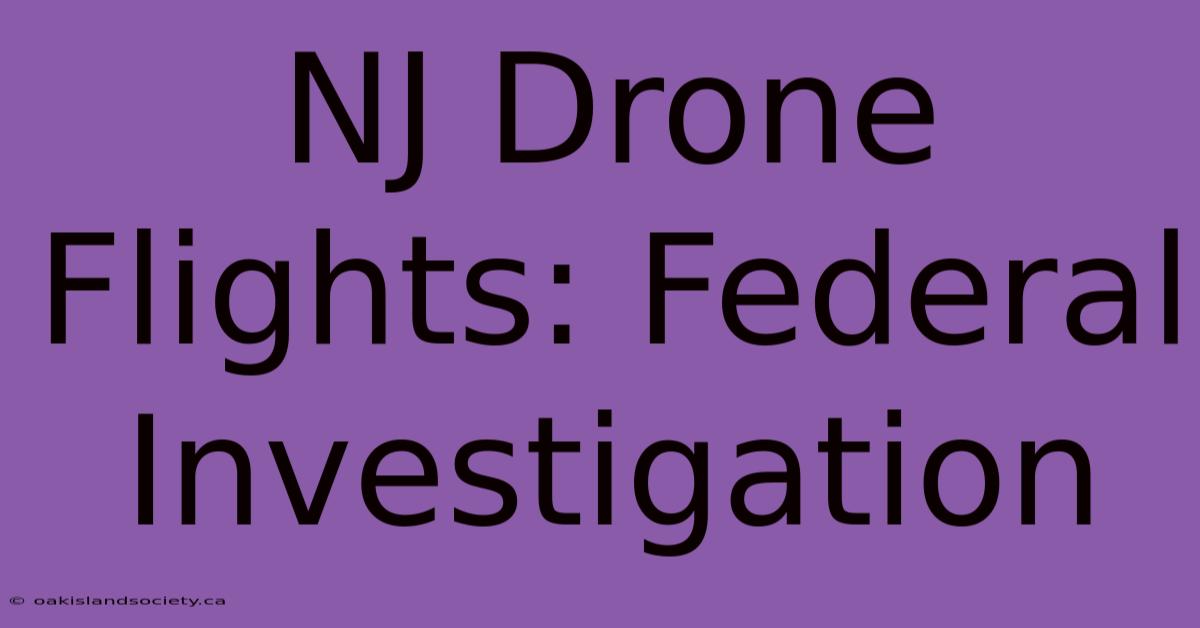 NJ Drone Flights: Federal Investigation