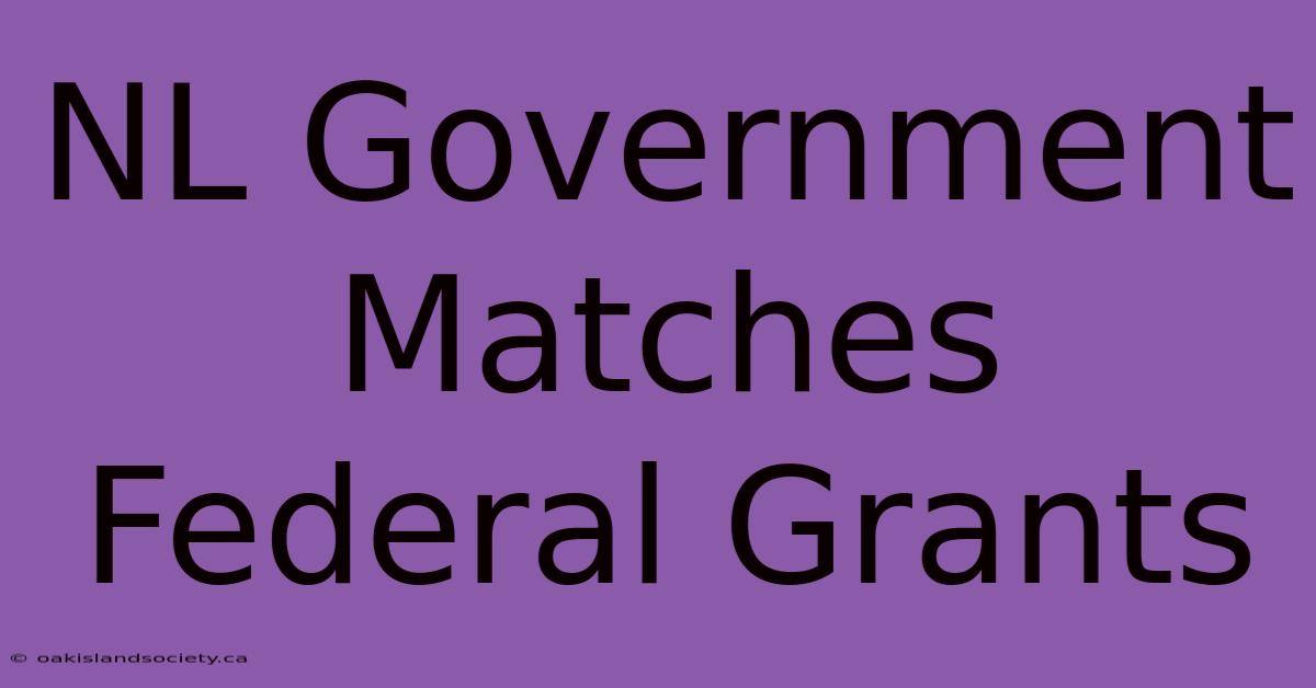 NL Government Matches Federal Grants