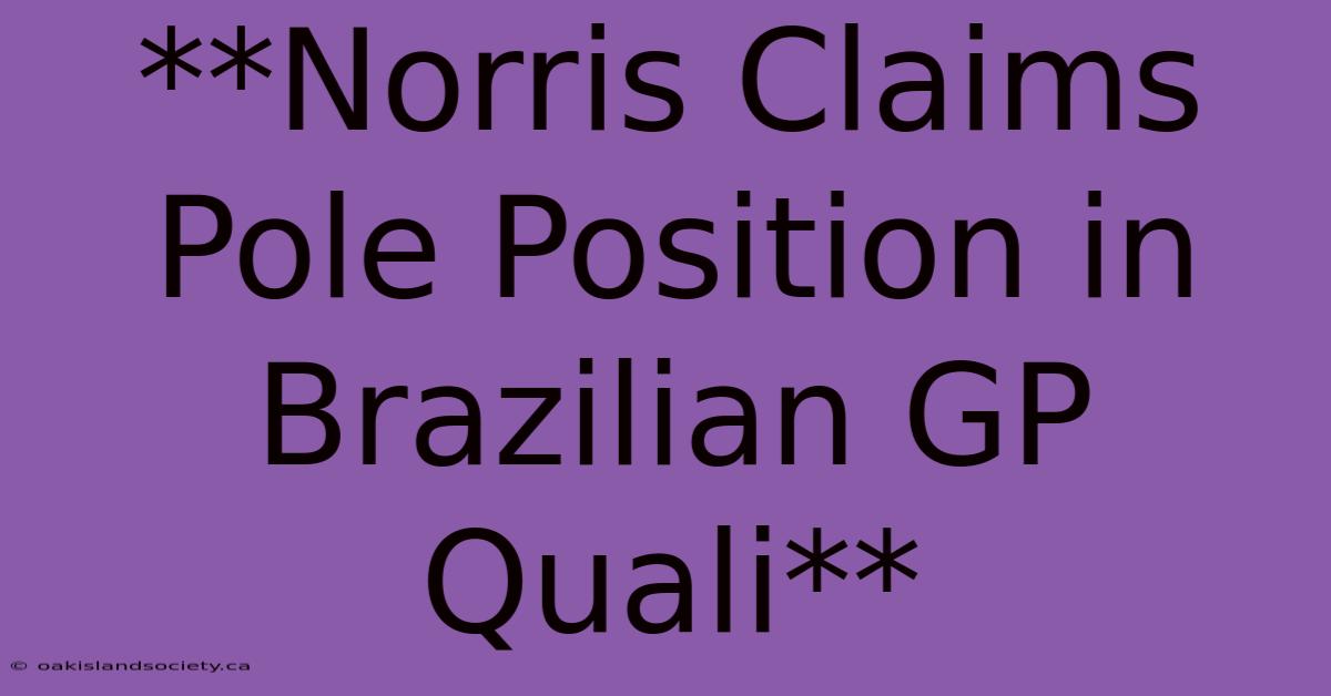 **Norris Claims Pole Position In Brazilian GP Quali**