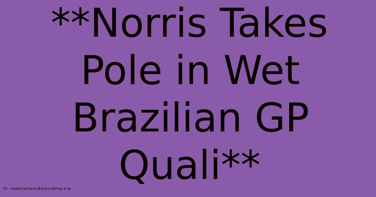 **Norris Takes Pole In Wet Brazilian GP Quali**