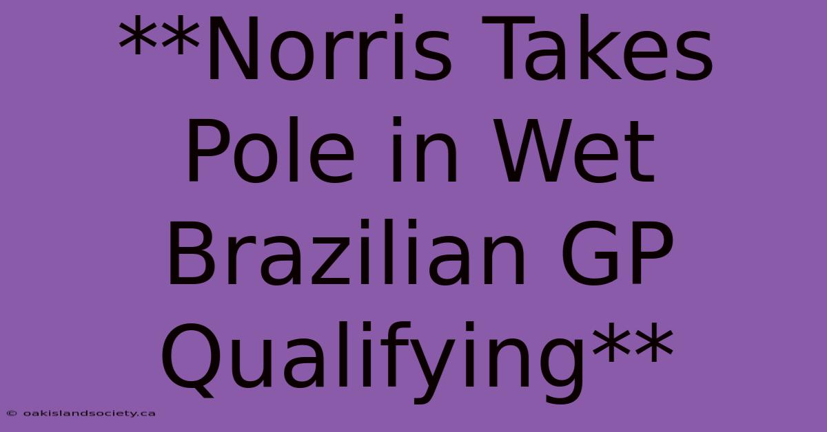 **Norris Takes Pole In Wet Brazilian GP Qualifying**