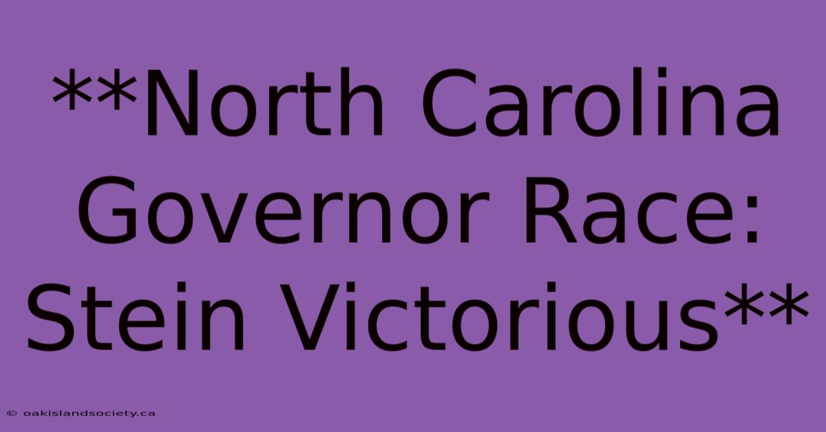 **North Carolina Governor Race: Stein Victorious** 