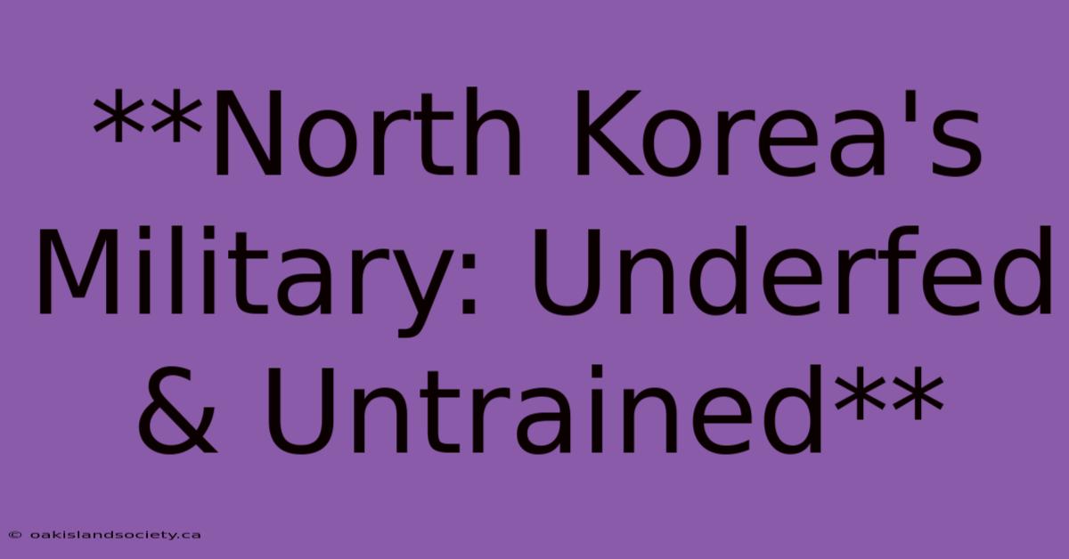 **North Korea's Military: Underfed & Untrained**