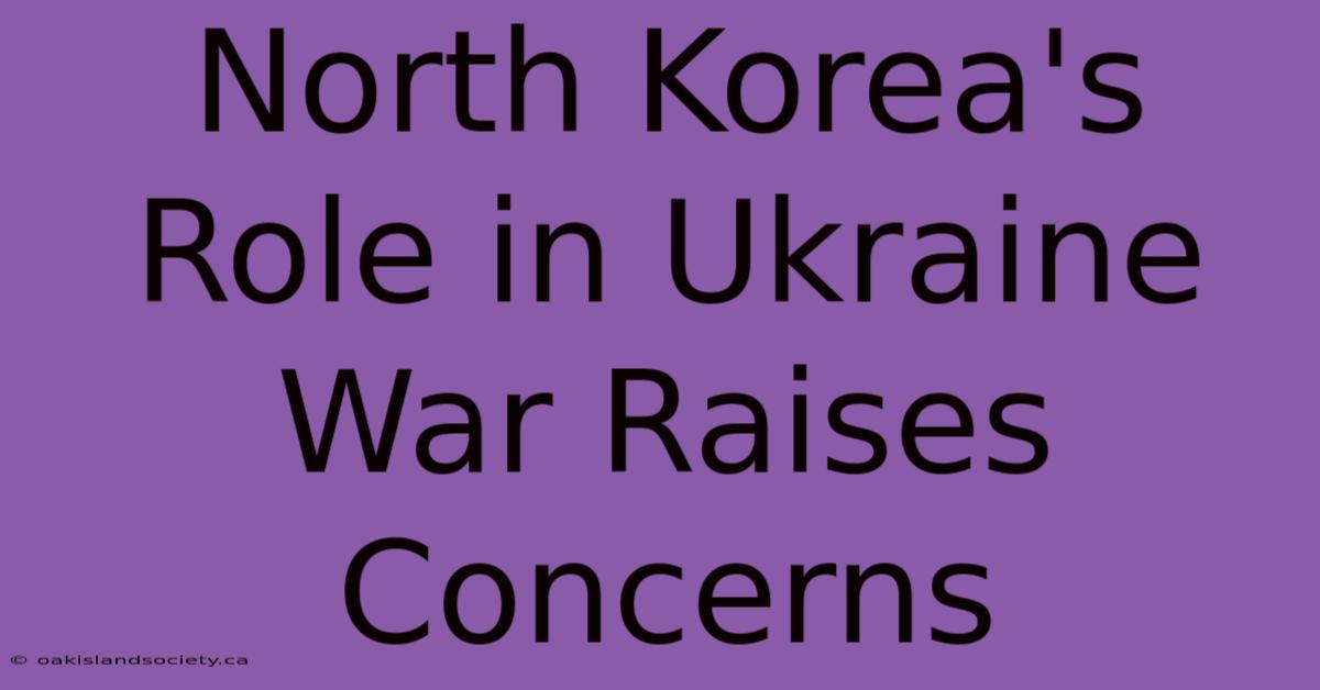 North Korea's Role In Ukraine War Raises Concerns