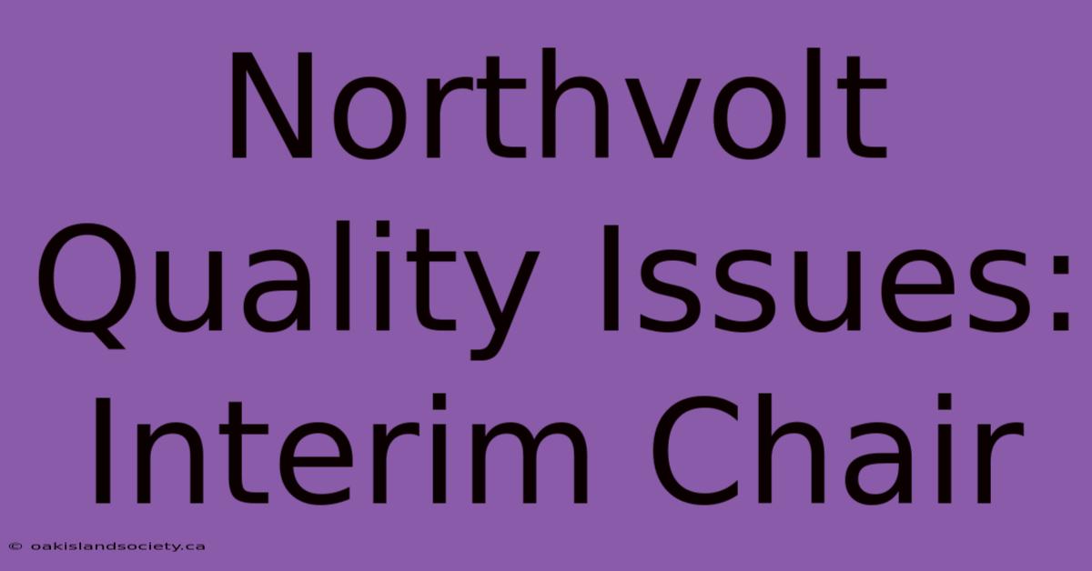 Northvolt Quality Issues: Interim Chair