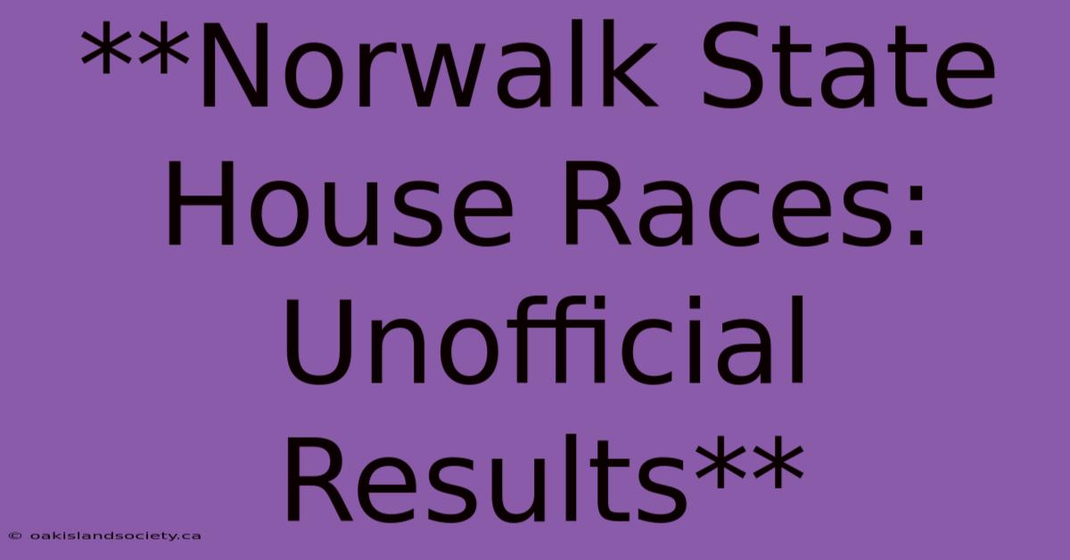 **Norwalk State House Races: Unofficial Results**