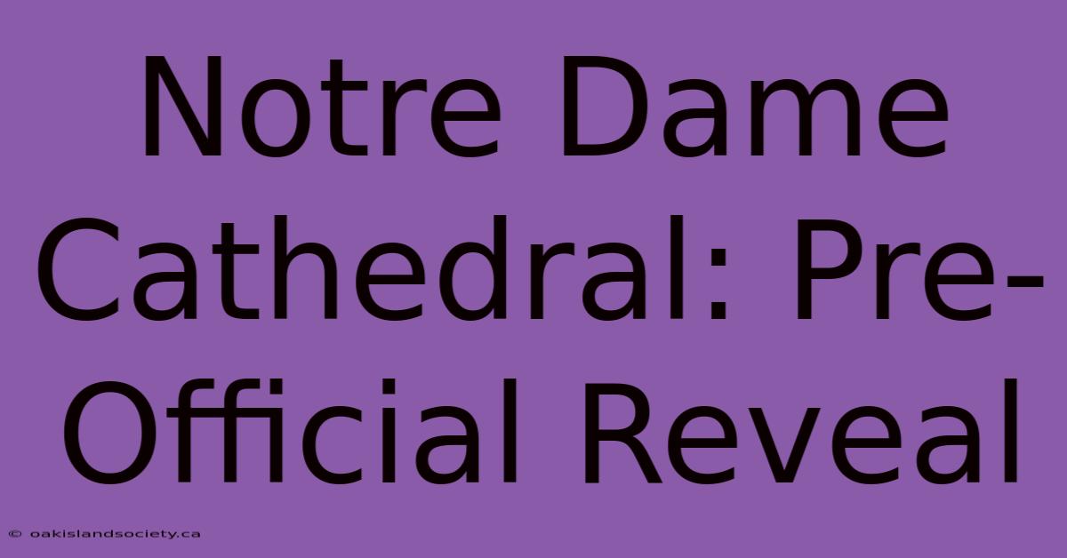 Notre Dame Cathedral: Pre-Official Reveal