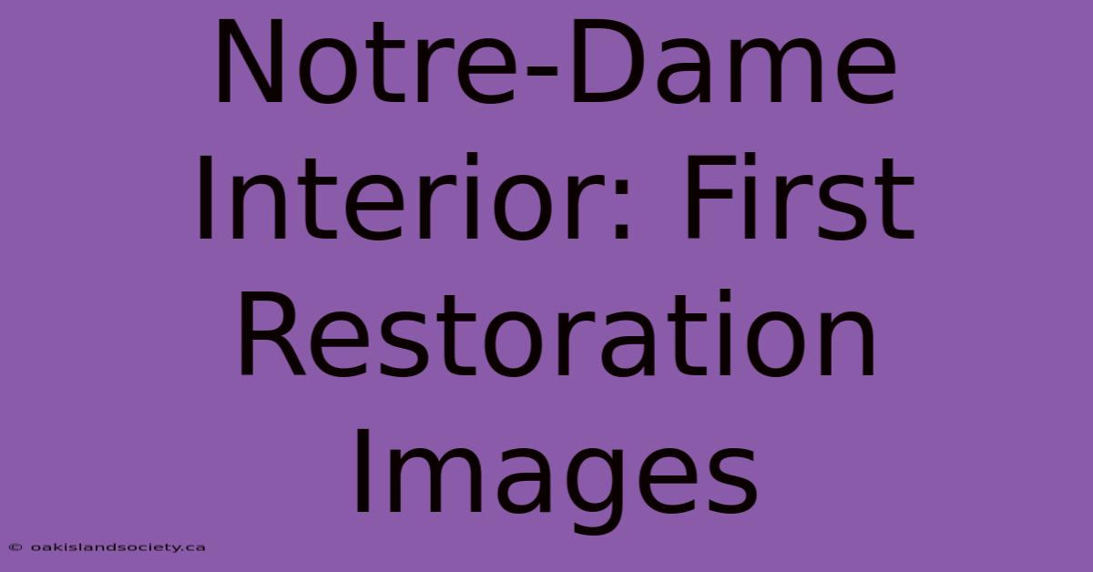 Notre-Dame Interior: First Restoration Images