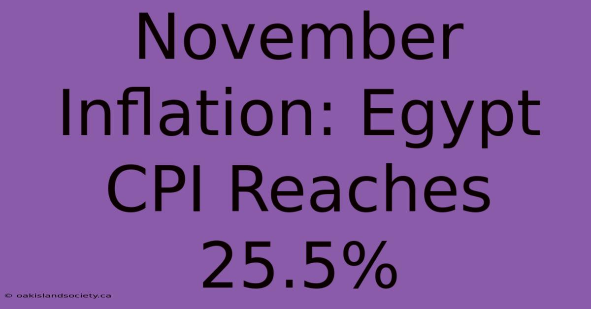 November Inflation: Egypt CPI Reaches 25.5%