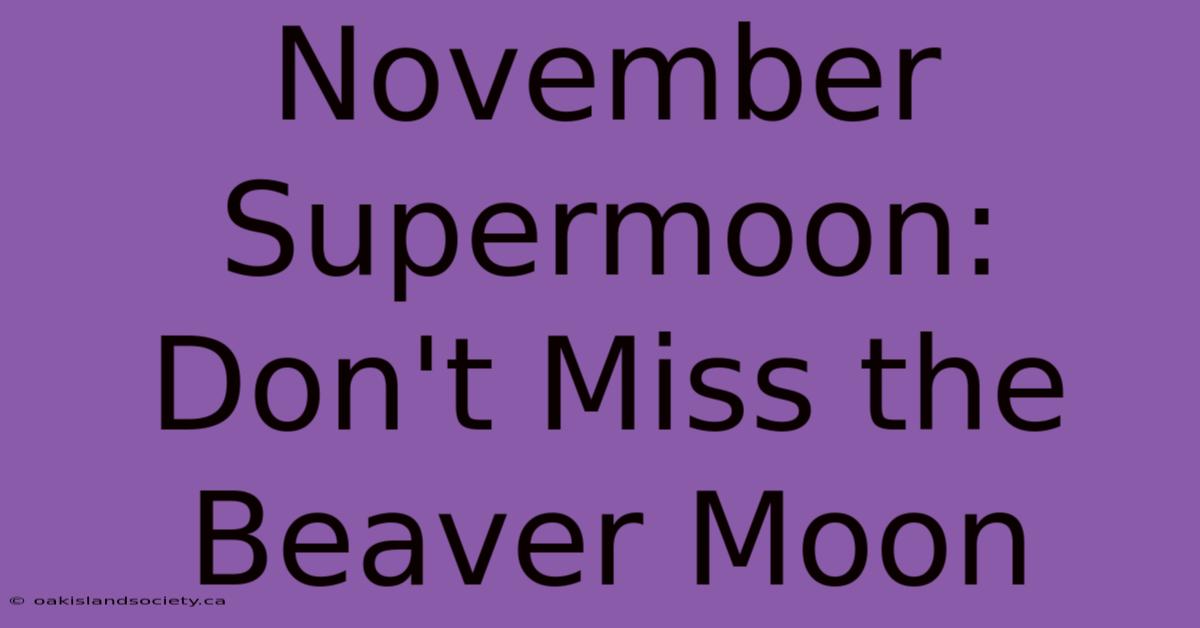 November Supermoon: Don't Miss The Beaver Moon 