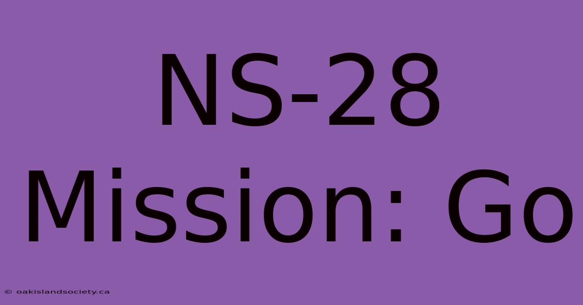 NS-28 Mission: Go