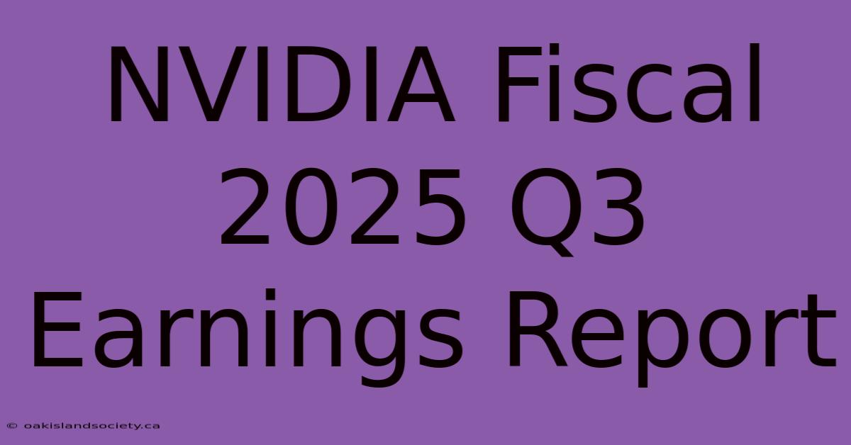 NVIDIA Fiscal 2025 Q3 Earnings Report